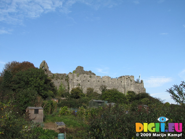 SX09708 Oystermouth Castle and allotments